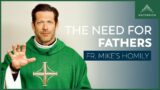 The Need for Fathers | Eleventh Sunday in Ordinary Time (Fr. Mike's Homily) #sundayhomily