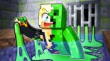 The Story of Minecraft's FIRST Mobs: Animated Movie
