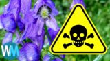 The Top 10 Deadliest Plants || Dangerous Plants That Can Literally Kill You