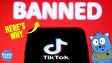 TikTok Might Be Banned in Singapore in the Future