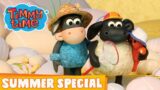 Timmy Time Summer Special: Seaside Rescue