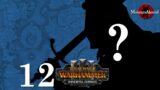 Total War: Warhammer 3 Immortal Empires – Bordeleaux Errant, Some Bloke in a Hat #12