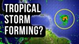 Tropical Storm Possible Next Week…