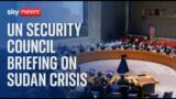 UN Security Council holds briefing Sudan and South Sudan crisis