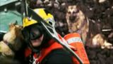 US Coast Guard Rescues German Shepherd Who Fell 300 Feet