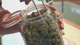 WATCH: NC House Committee discusses medical marijuana bill