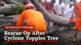 Watch: NDRF To The Rescue As Tree Falls On House Due To Cyclone Biparjoy Winds