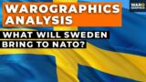 What Will Sweden Bring to NATO: A Warographics Analysis