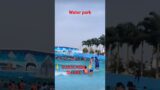 water park. wave pool. funtasia water park. #waterpark. swimming pool. cartoon. comedy. funny video.