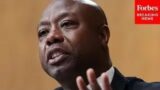 ‘America Is Not A Land Of Oppression’: Tim Scott Slams 'Victimhood' Mindset Spreading Across US