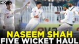 1st 5 Wicket Haul By Naseem Shah | Unplayable Spell By Naseem Shah | PCB | MA2A