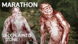 3 TIMES BIGFOOT WAS CAUGHT ON CAMERA *Marathon* | MonsterQuest | The UnXplained Zone