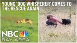 6 years later, young ‘dog whisperer' comes to the rescue again