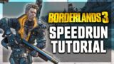 A Beginner's Guide to Speedrunning Borderlands 3