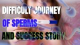 Against All Odds: The Incredible Journey of Sperms | A Motivational Success Story