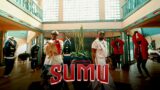 Alikiba feat Marioo – Sumu (Official Music Video)