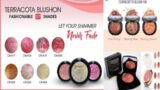 BEST Blushes for a SUN KISSED Look | TERRACOTTA BLUSH FAVS! Highlighter @smarttipsskills166