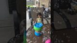 Backyard Bubble Fantasia on Ba’s Birthday #toddler #bubbles #bubbleshooter