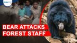 Bear attacked forest staff