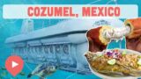 Best Things to Do in Cozumel, Mexico