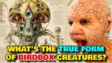 Birdbox Creature Anatomy – How Do The Birdbox Creatures Really Look Like? What's Their True Form?