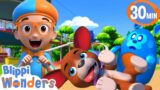 Blippi Has Fun with Dogs! | Blippi Wonders Educational Cartoons for Kids