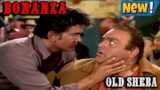 Bonanza Full Movie 2023 | Old Sheba |  Bonanza Full Episode HD