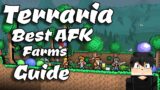 Build the BEST AFK Farms in Terraria!
