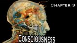 Consciousness – The Vanishing Mediator | Part 4 of the Parallax View