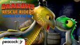Copycat Dragon Takes Over | DRAGONS RESCUE RIDERS: HEROES OF THE SKY