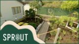 Creating The Ultimate Relaxation Garden | Supergarden | Sprout