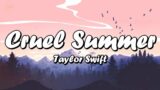 Cruel Summer – Taylor Swift (lyrics). Ed Sheeran, Rihanna, Bruno Mars, Nicki Minaj, Chris Brown