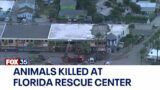 Dozens of animals killed at Florida animal rescue center