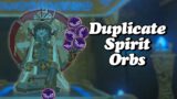 Duplicate Spirit Orbs Glitch | Zelda Breath of The Wild | BotW