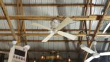Emerson Heat Fan/Universal Series "Blenderfan" Ceiling Fan model CF-523A-W