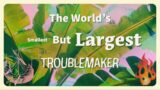 FCC Sermons | Not A Series Pt.1 | The Smallest But Largest Troublemaker