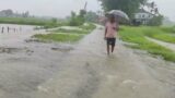 Good Morning With Super Heavy Rain | Walking Around Village in rain