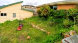 Helping a Family RESCUE Their Overgrown Backyard from a Desperate Situation!
