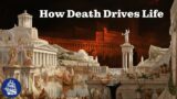 How Death Creates Everything