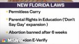 Hundreds of new Florida laws go into effect