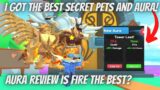 I GOT THE BEST SECRET PETS AND FOUND THE BEST (AURA GUIDE)! IN SWORD FIGHTER ROBLOX!