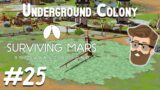 Ice Caps! (Underground Colony Part 25) – Surviving Mars Below & Beyond Gameplay