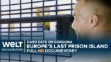 JAIL IN ITALY: Felons on Europe's last prison island Gorgona | WELT Documentary