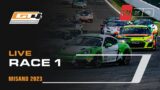 LIVE | Race 1 | Misano | GT4 European Series powered by Rafa Racing Club  (English)