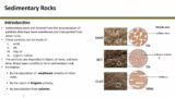 Lecture 7_Physical Geology_Sedimentary Rock