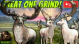 Lets Get Our 44th Great One! The Fallow Deer Great One Grind Is INSANE! Call of the wild
