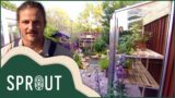 Looking Back At Our Favourite Water Features | Garden Rescue | Sprout