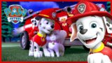 Marshall's Animal Rescue Moments +More Paw Patrol Cartoon for Kids