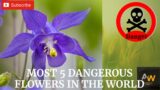 Most 5 dangerous flowers in the world