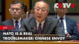 NATO Is a Real Troublemaker: Chinese Envoy